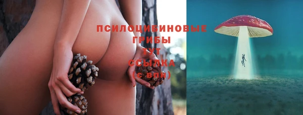 стафф Алзамай