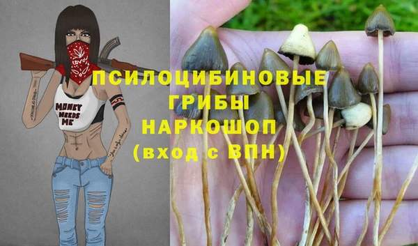 дживик Алексин