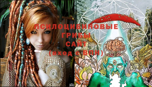 прущие грибы Алексеевка