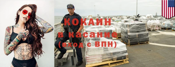 прущие грибы Алексеевка