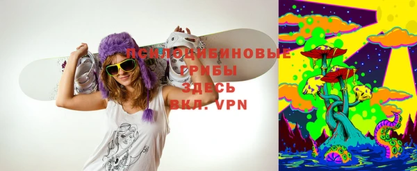 прущие грибы Алексеевка